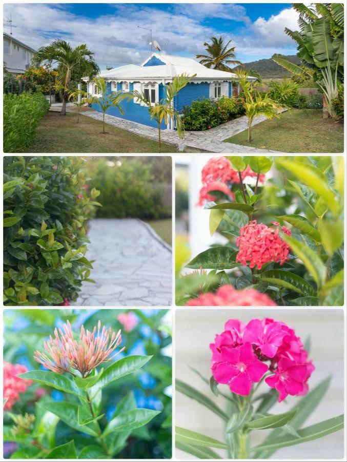 Villa Alizé&Villa Aigue-Marine Sainte-Anne Extérieur photo